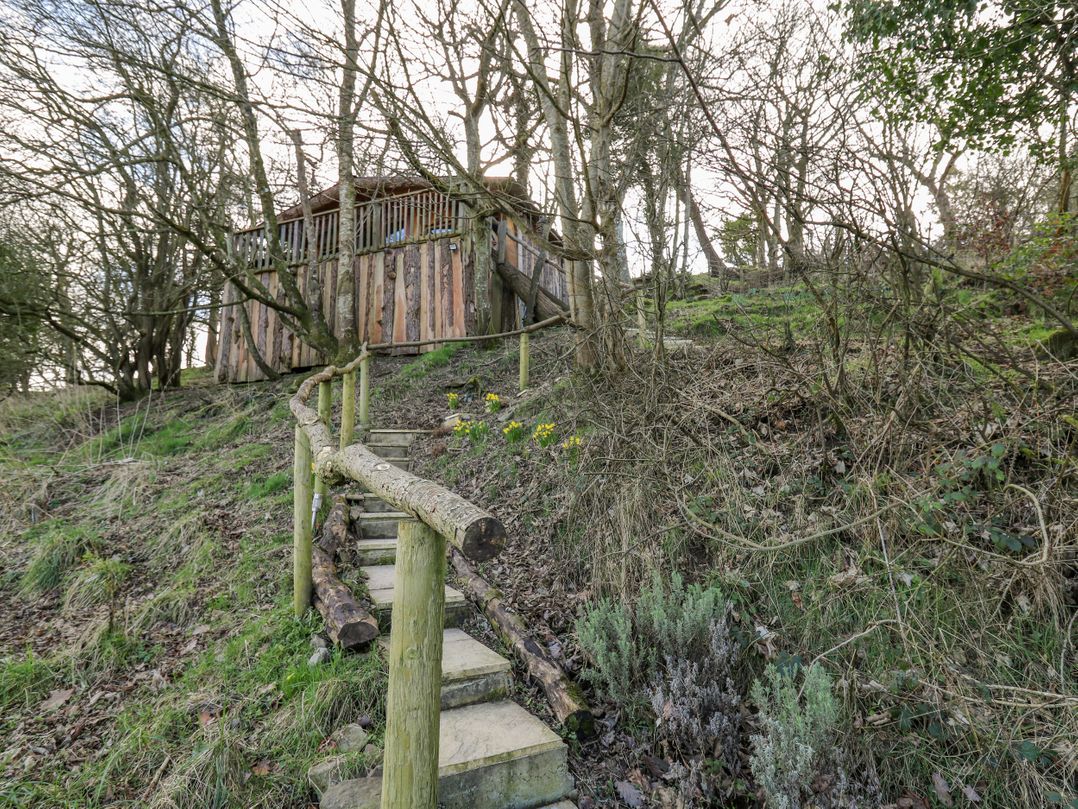 Tree House