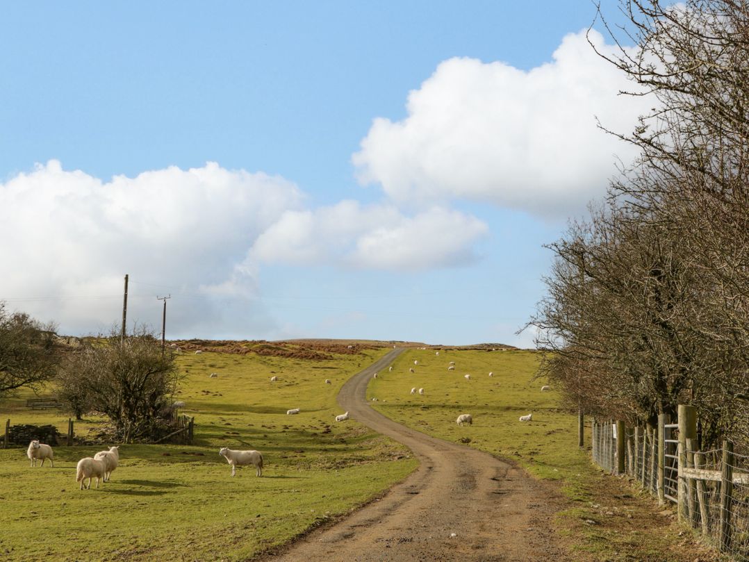 Pen-Croeslan Bach
