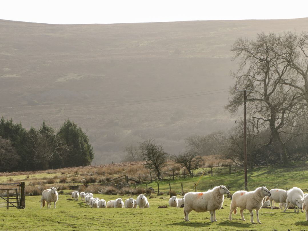 Pen-Croeslan Bach