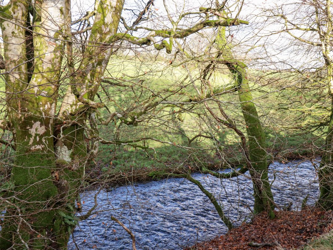 Cockle Nook