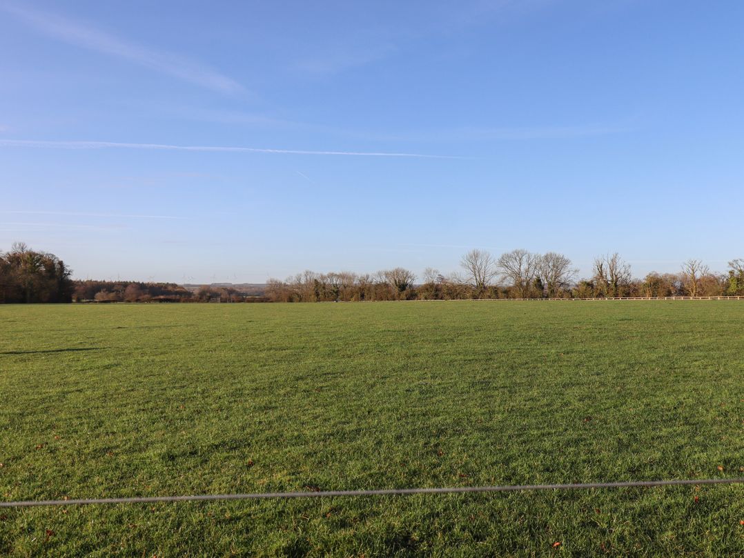 Farnelea