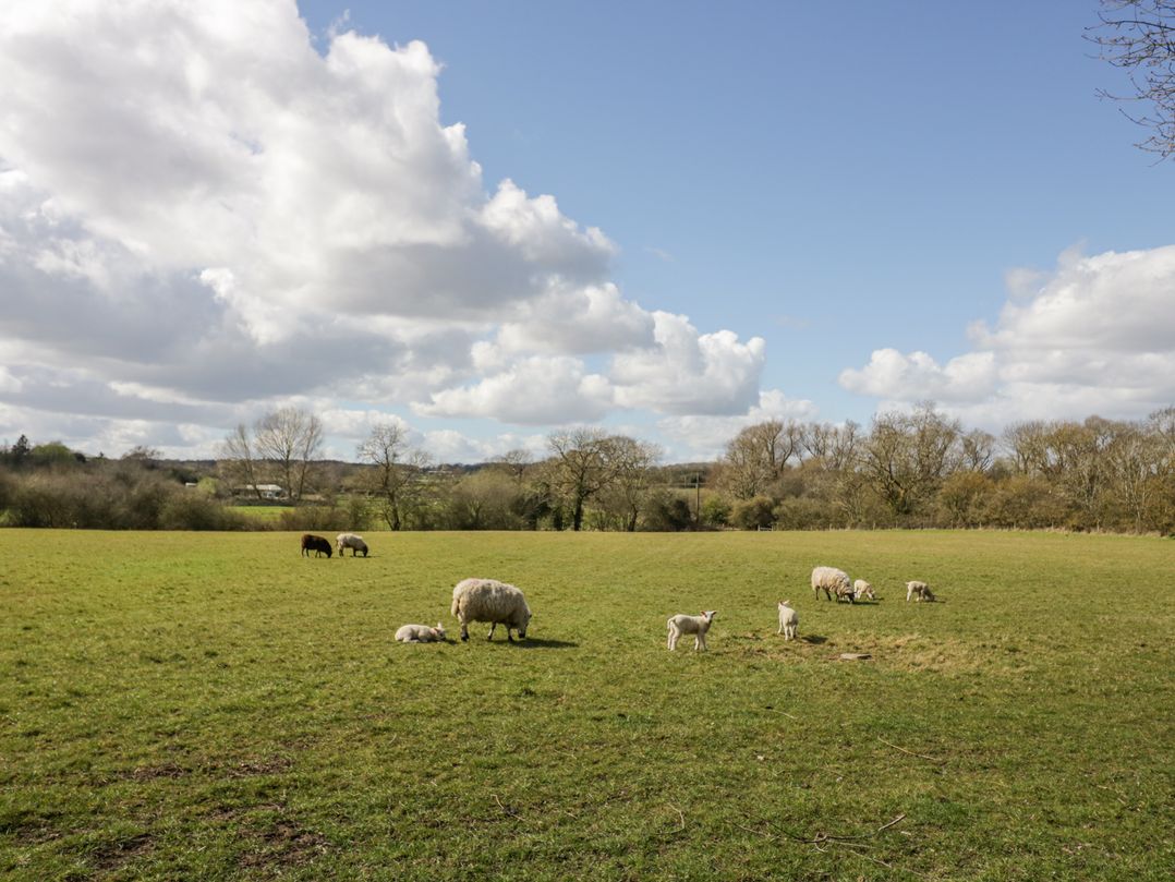 New House Farm