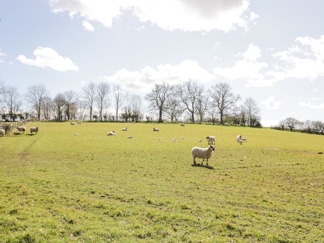 New House Farm