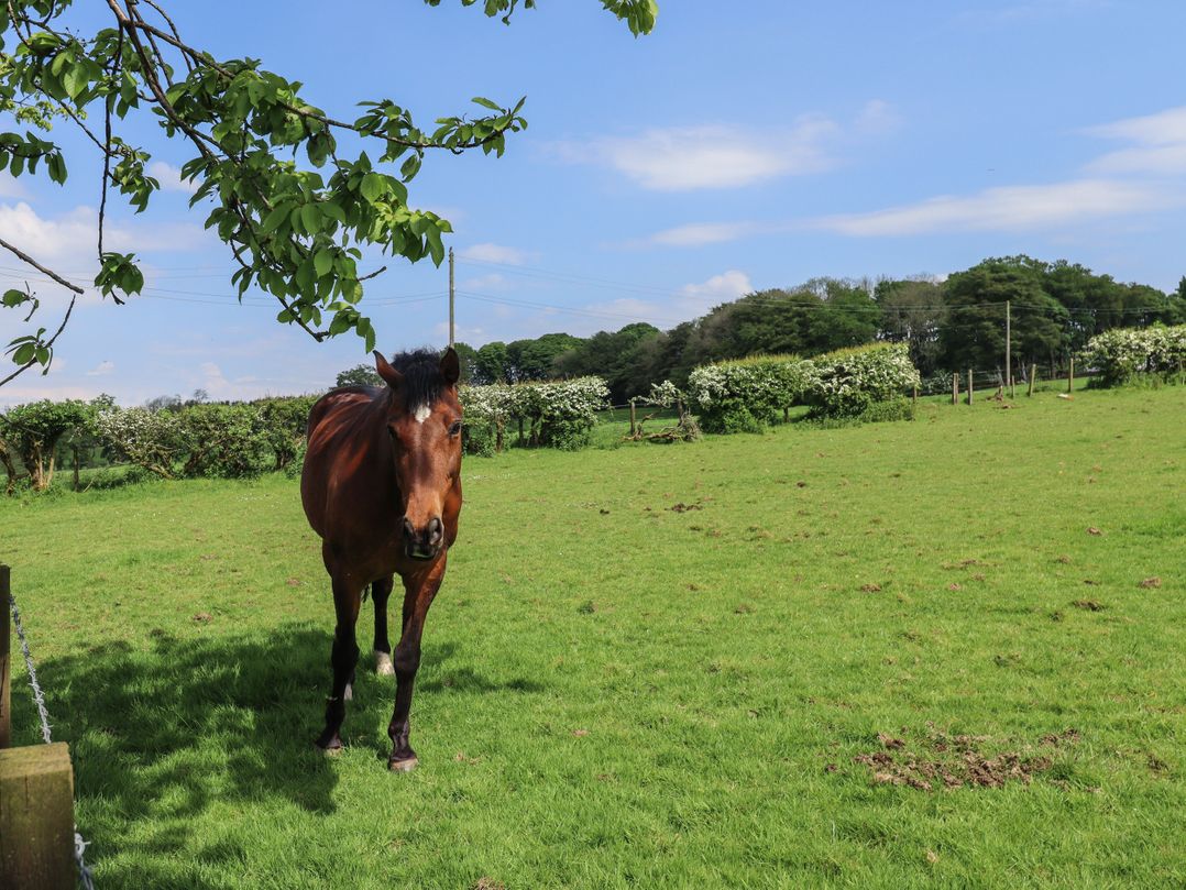 Cleugh Lodge