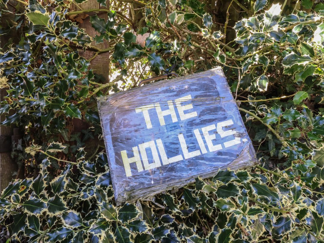 The Hollies