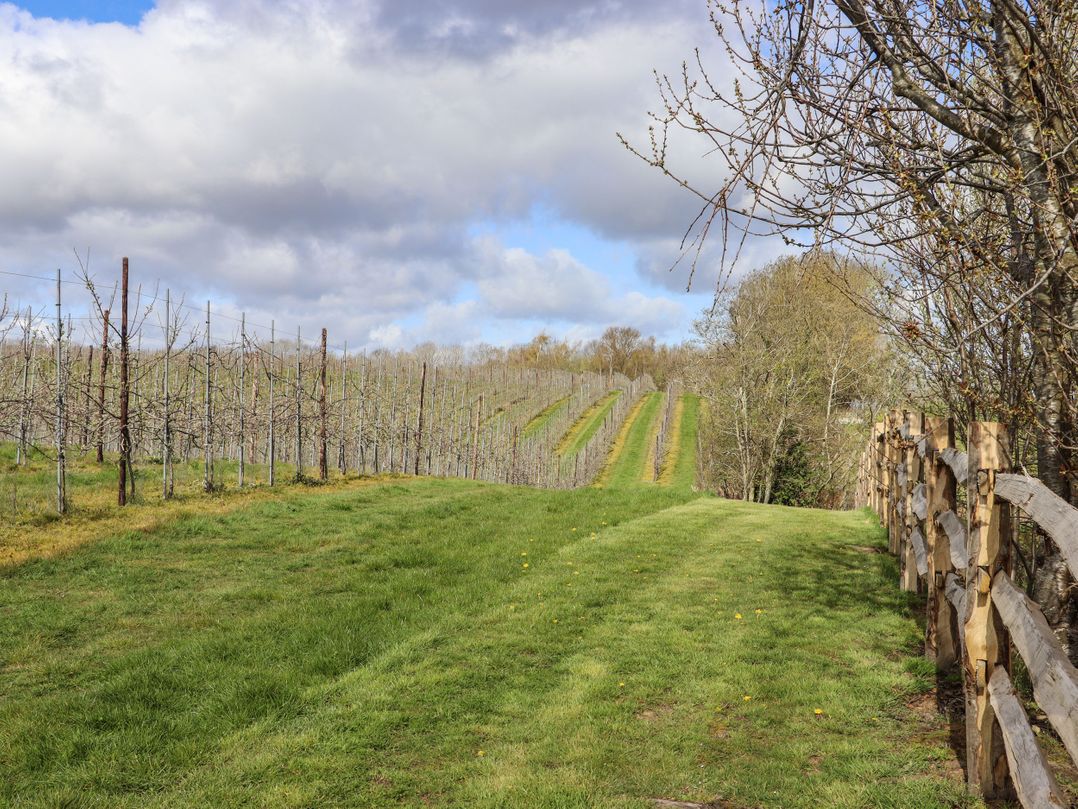 Orchard Retreat