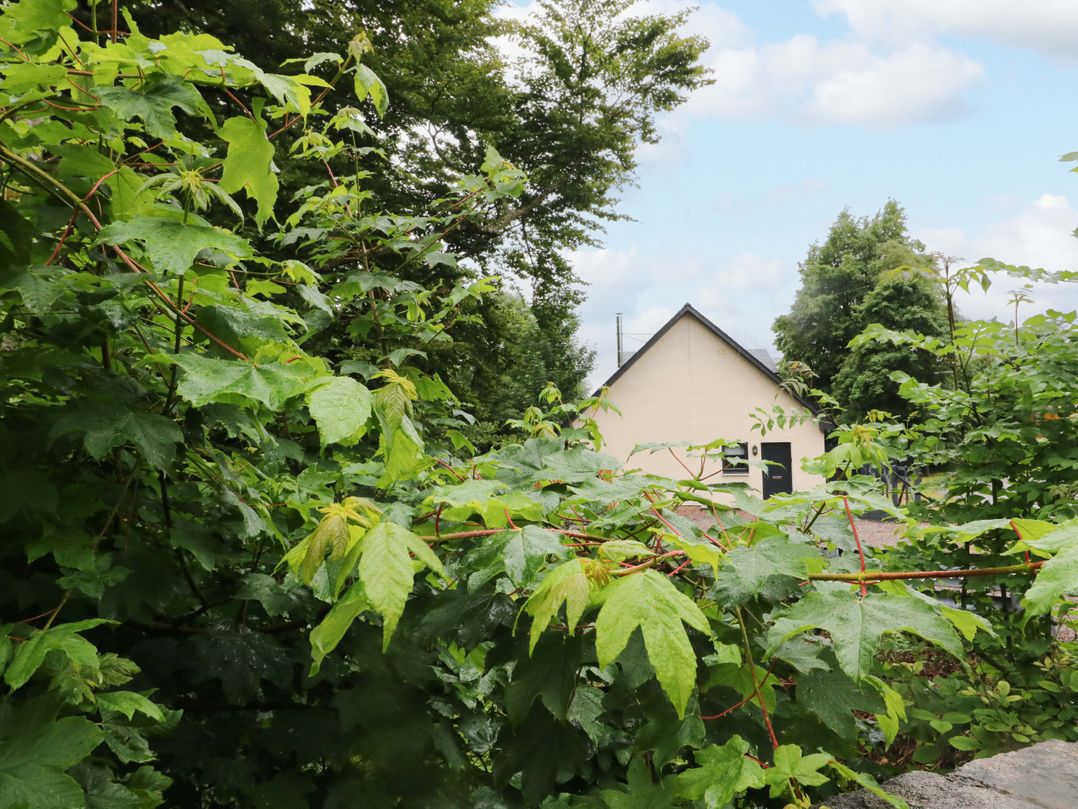 Nevis Bridge House