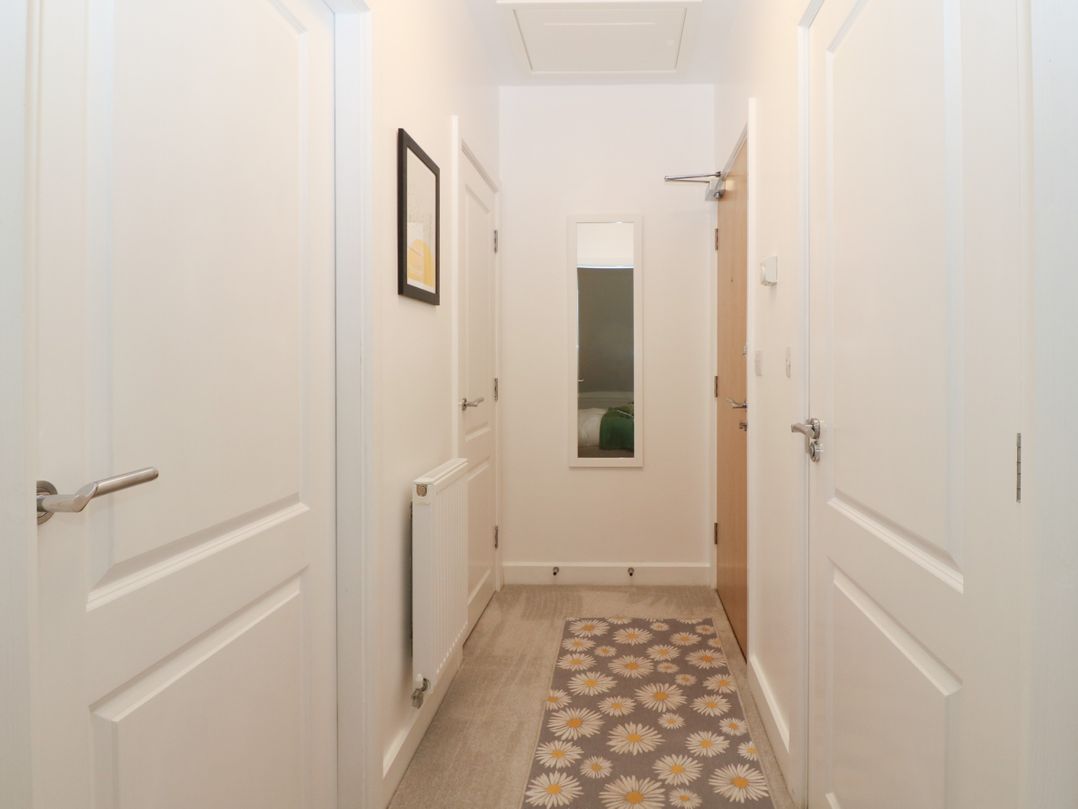 Apartment 16