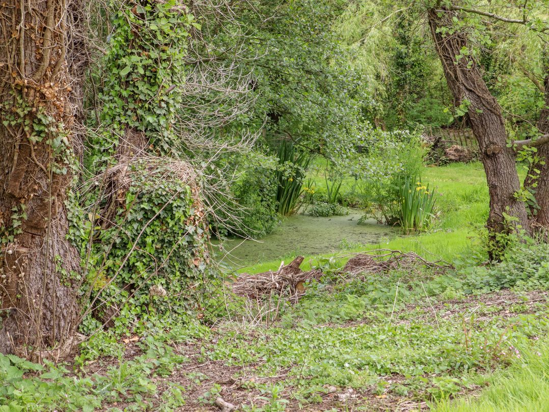 The Snug at Pickelden Farmhouse