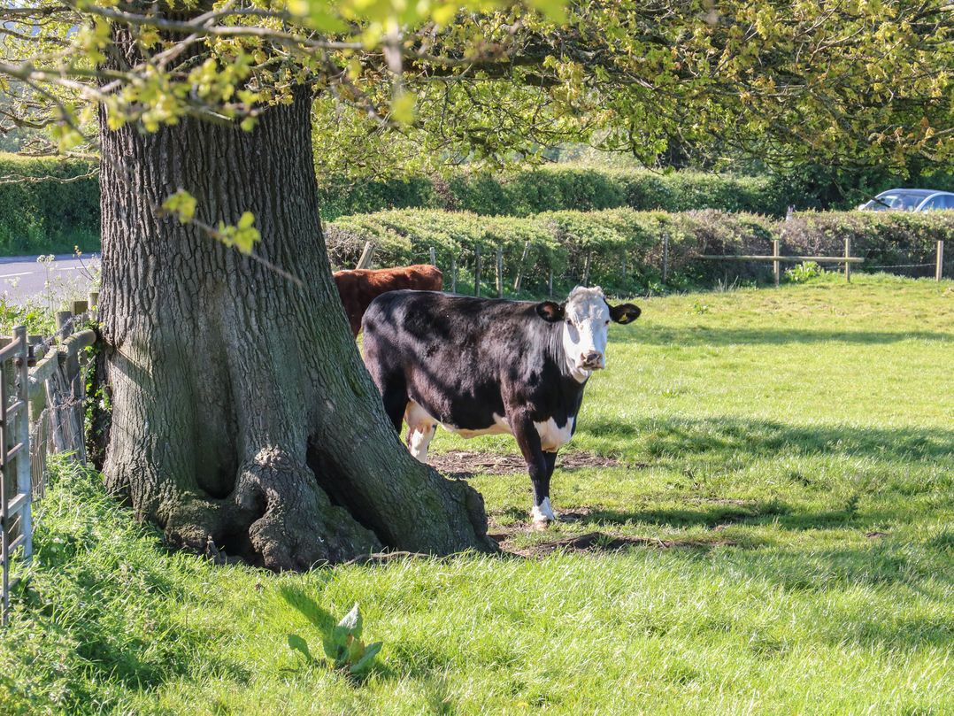 Tixall Manor Farm