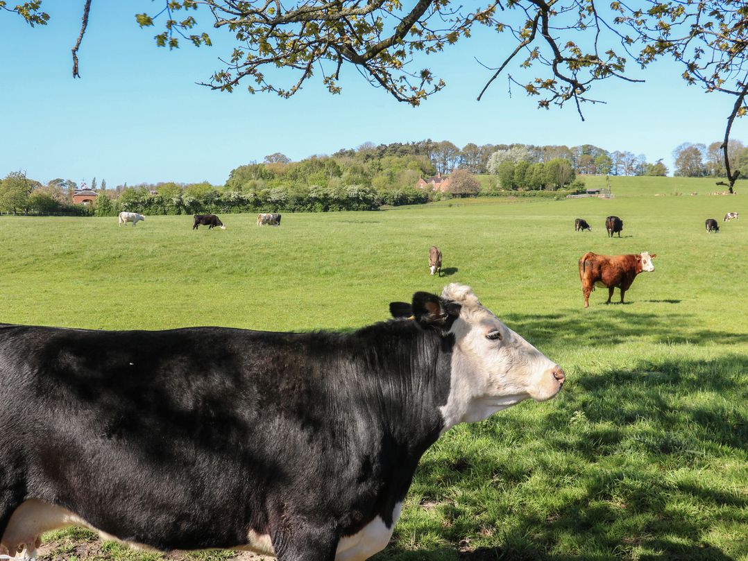 Tixall Manor Farm