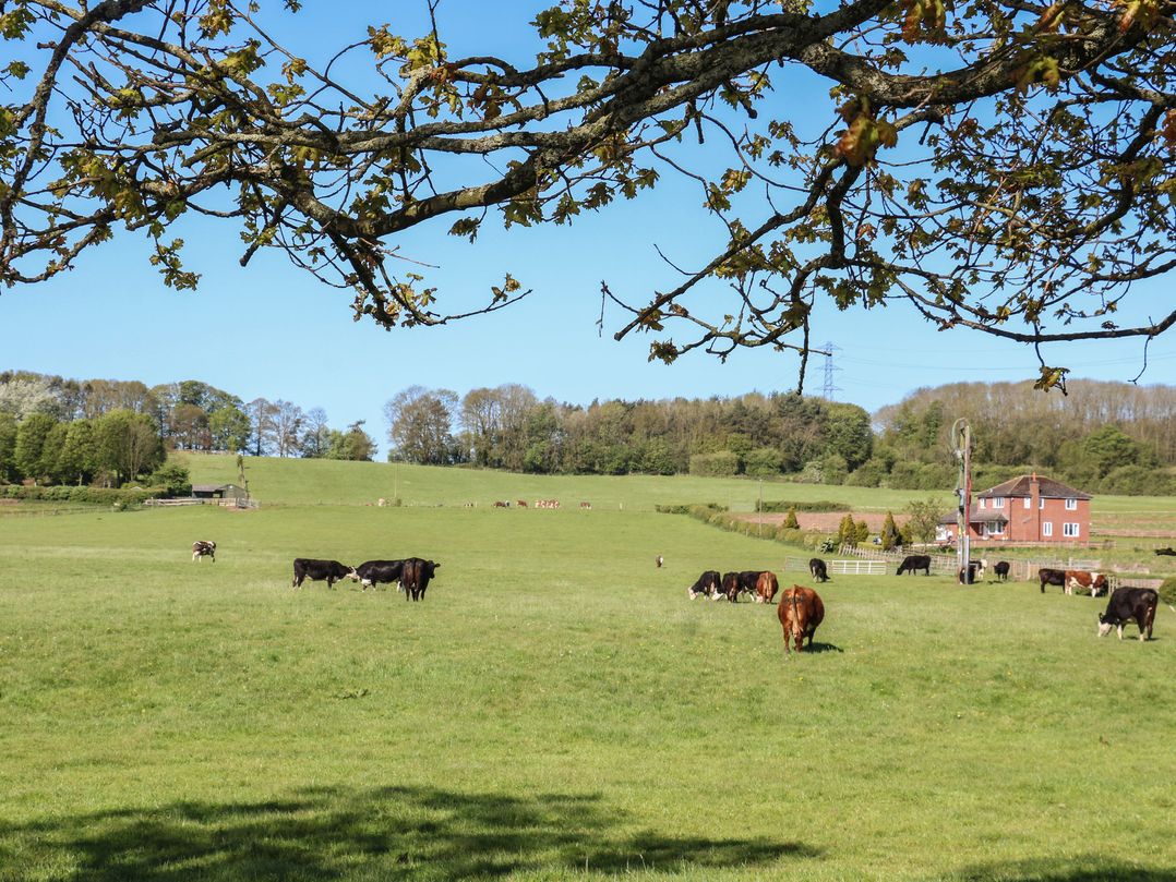 Tixall Manor Farm