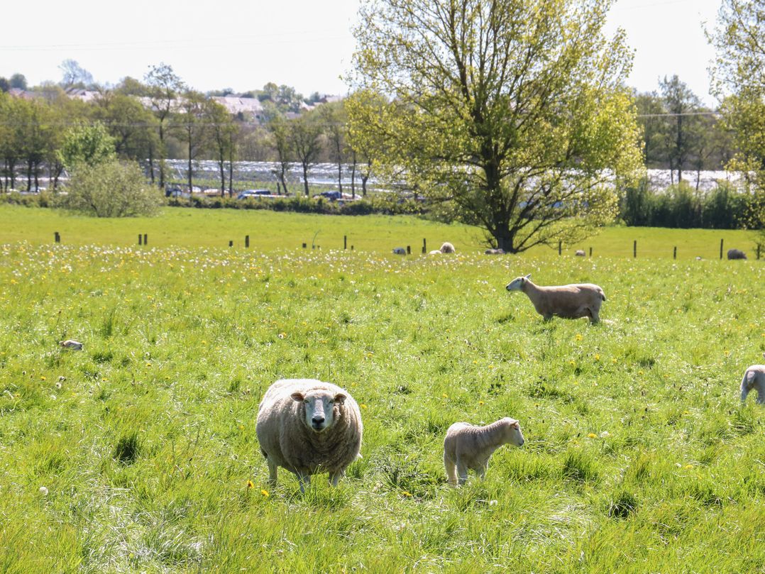 Tixall Manor Farm