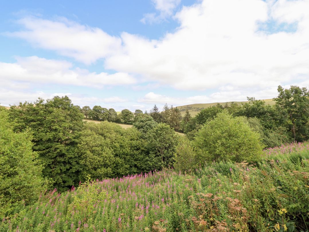 Cuckoo at Wild Valley Huts