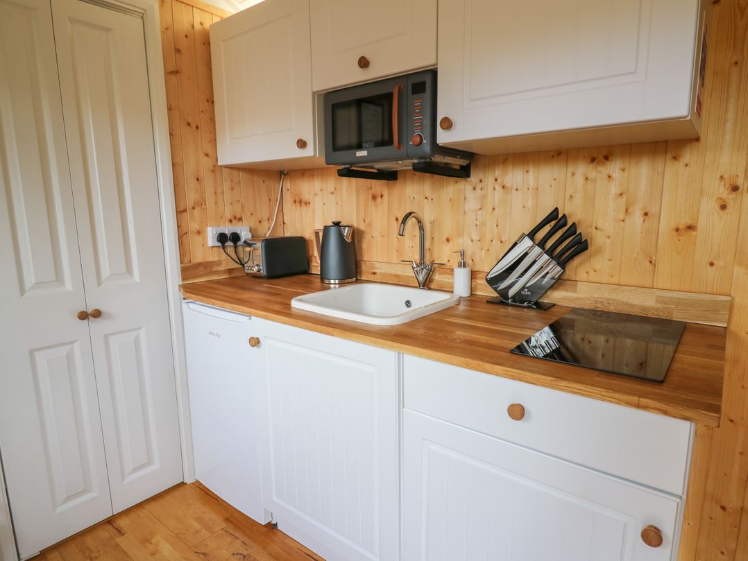 Red Kite at Wild Valley Huts