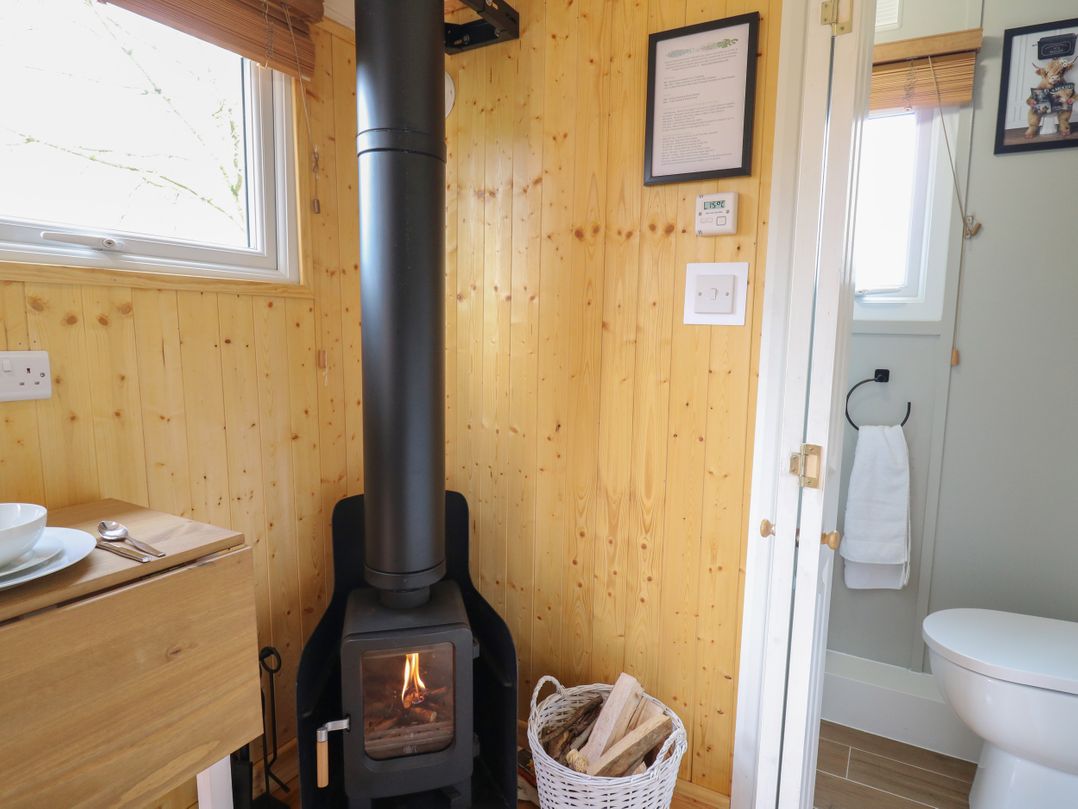 Red Kite at Wild Valley Huts