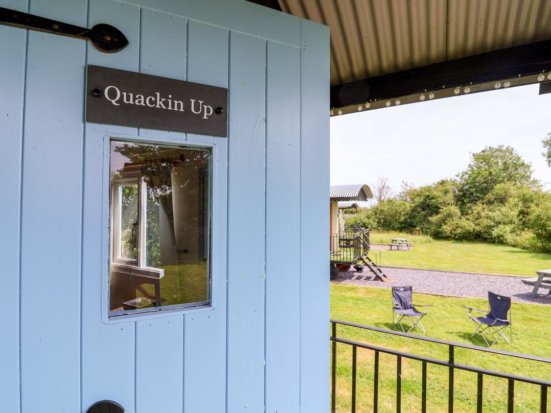 Quackin' Up