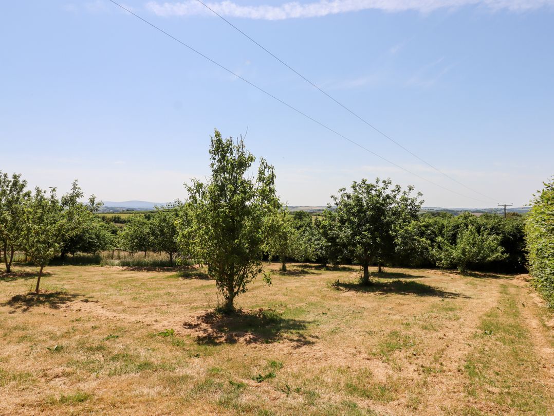 Upcott Farm
