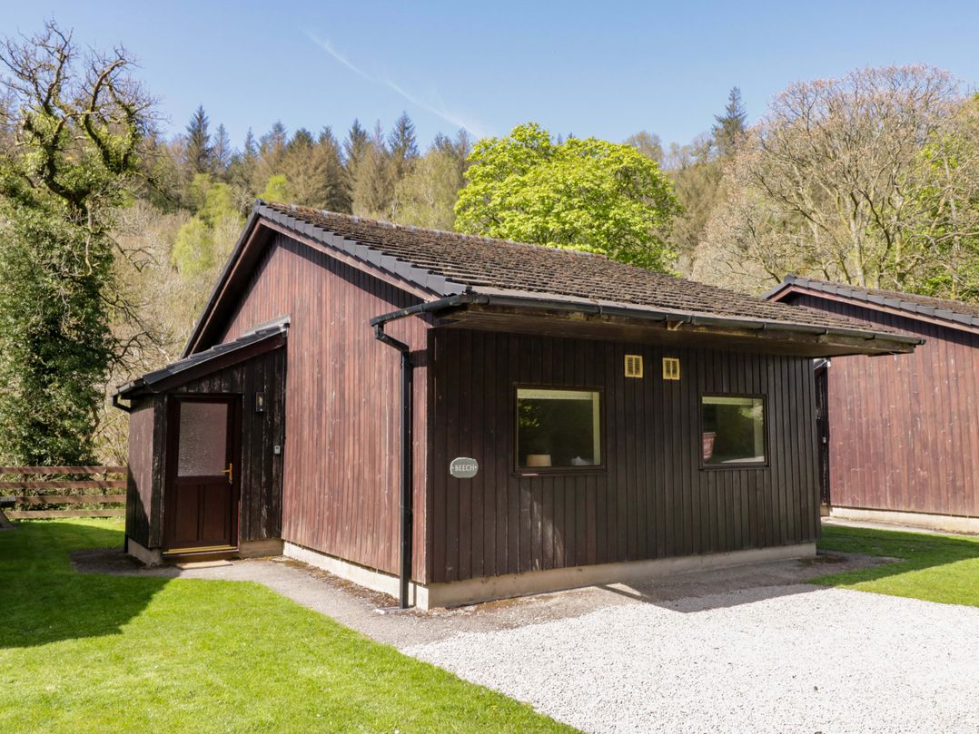 Beech Timber Lodge