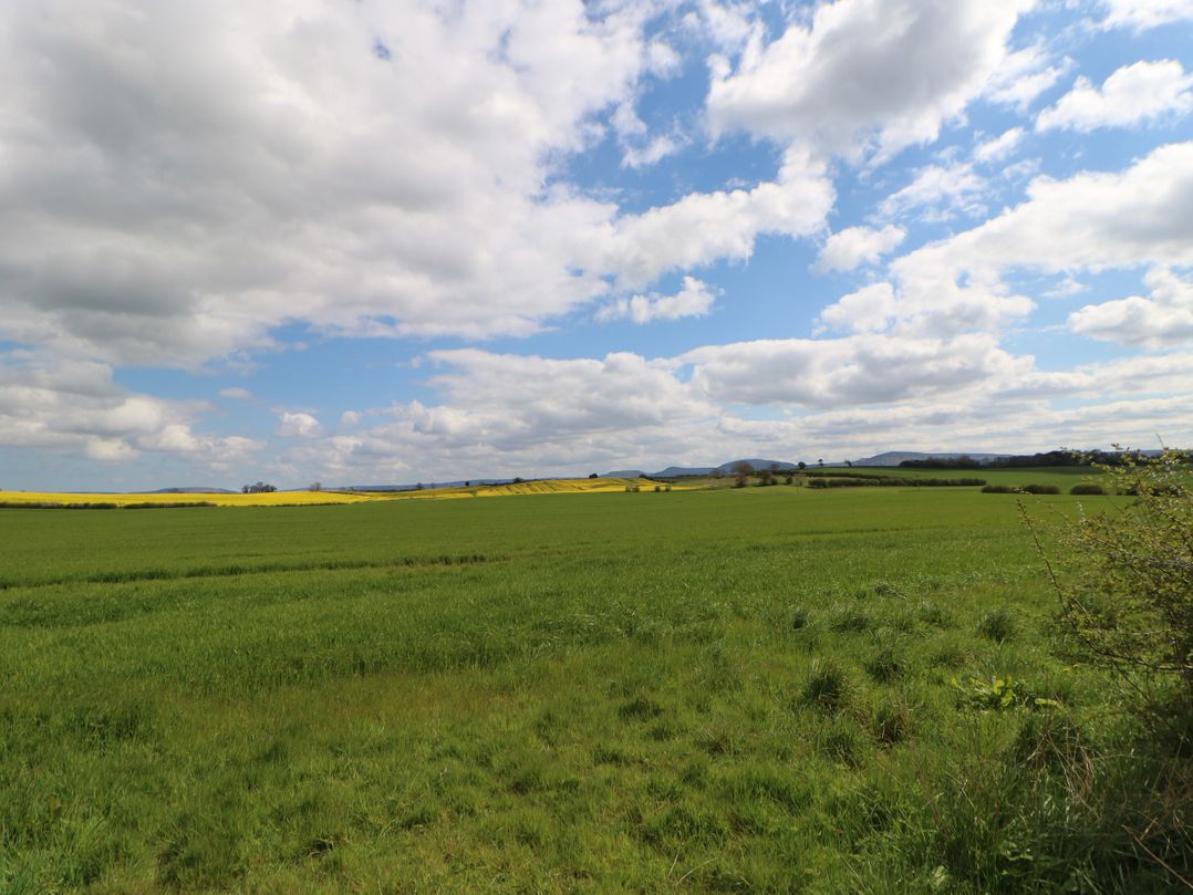 Wharfdale Pod