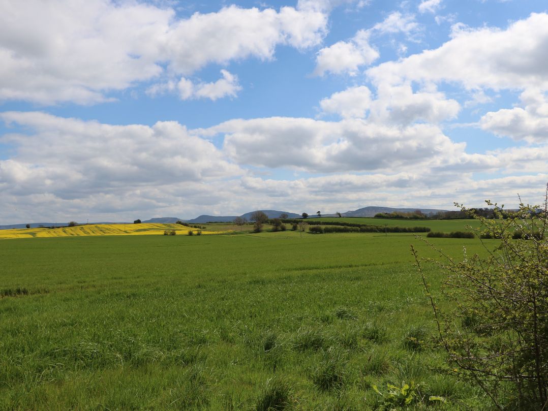 Wharfdale Pod