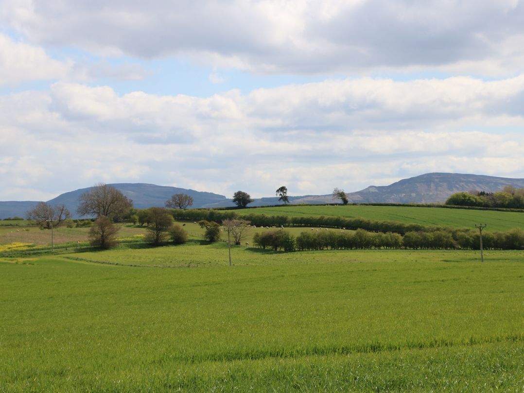 Wharfdale Pod