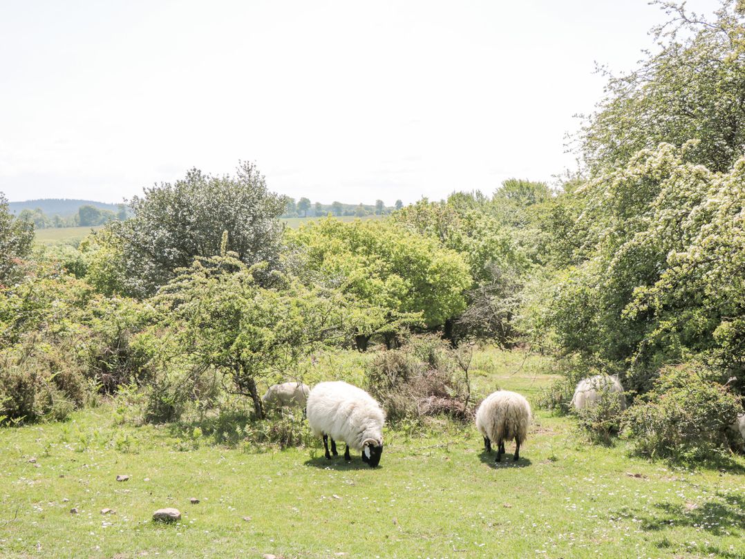 Watermead Lodge