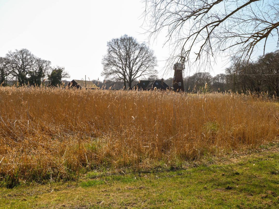 Wayford Mill