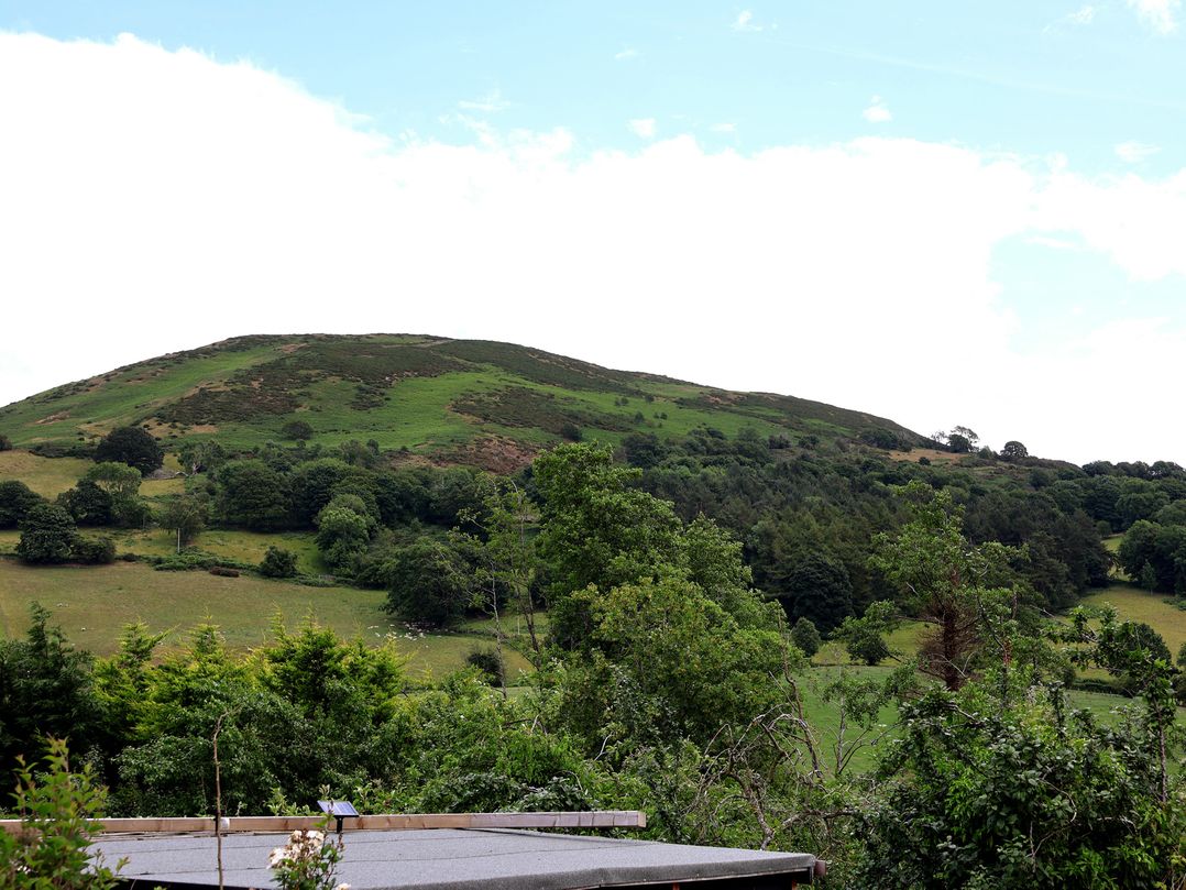 The Studio Cottage