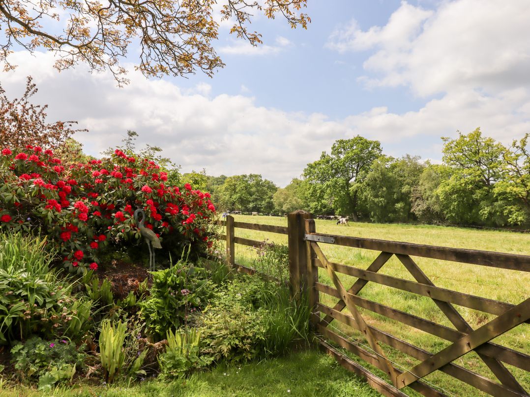 Shillings Cottage