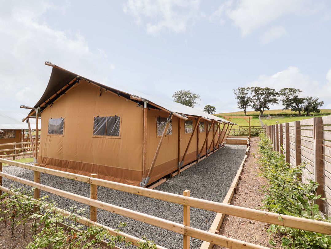 Lucky Clucky Lodge