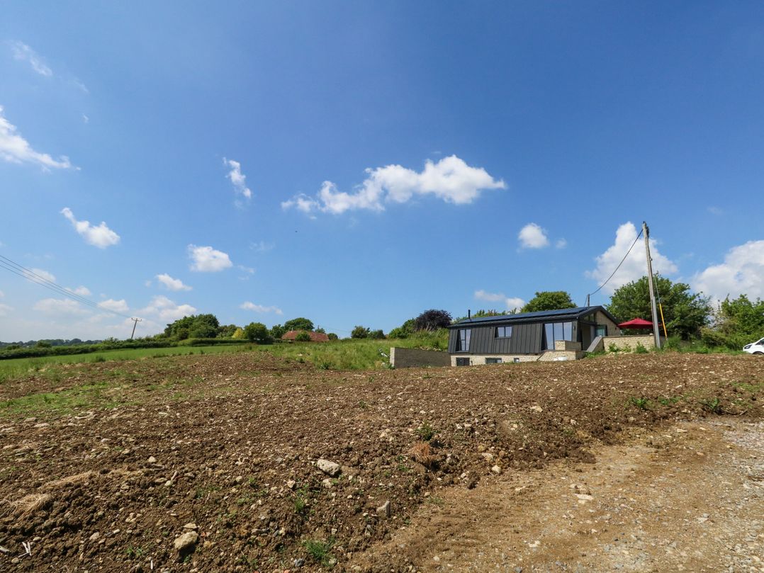 Frogwell