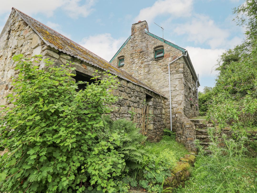 Penfeidr Newydd