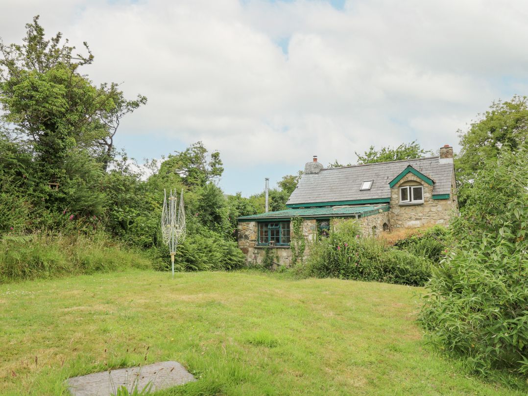 Penfeidr Newydd