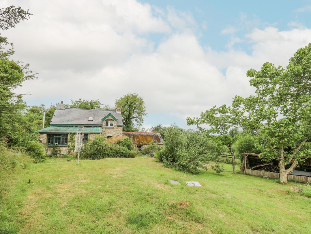 Penfeidr Newydd