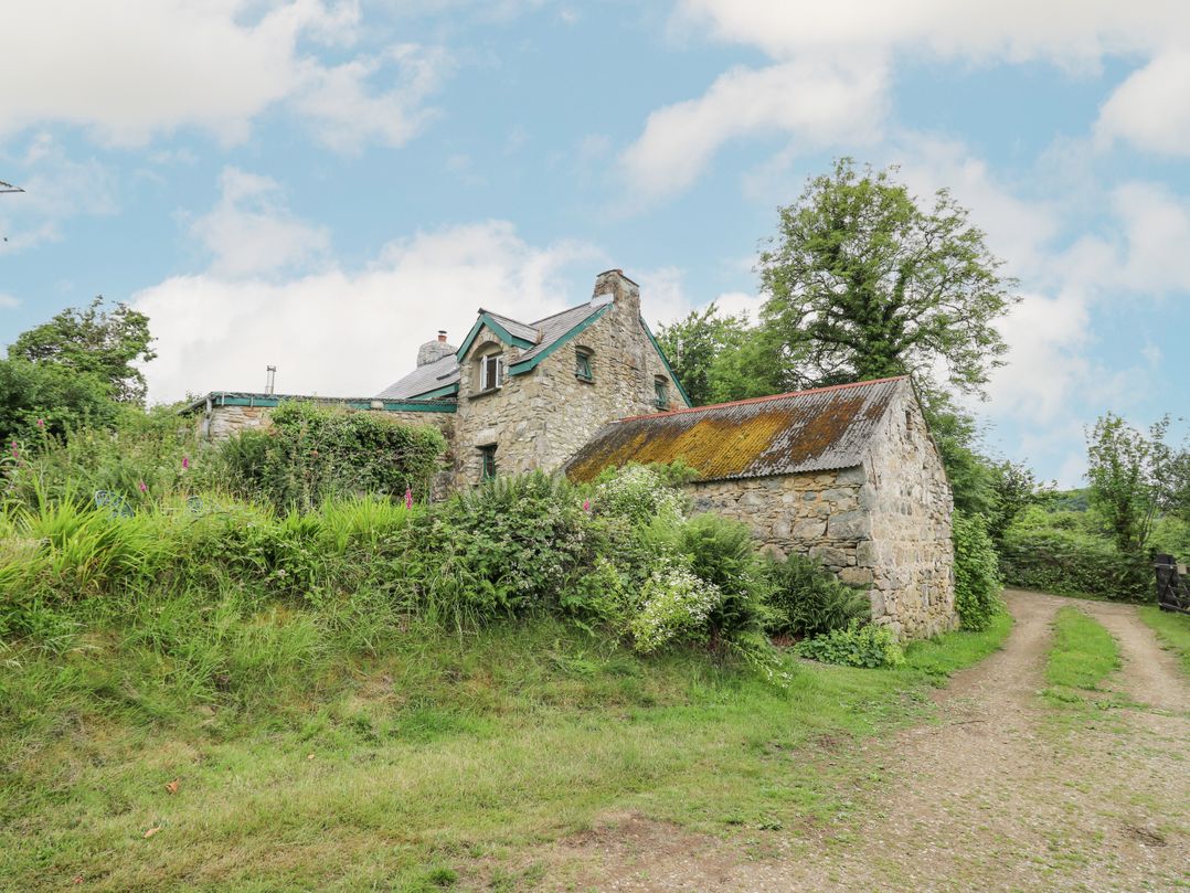 Penfeidr Newydd