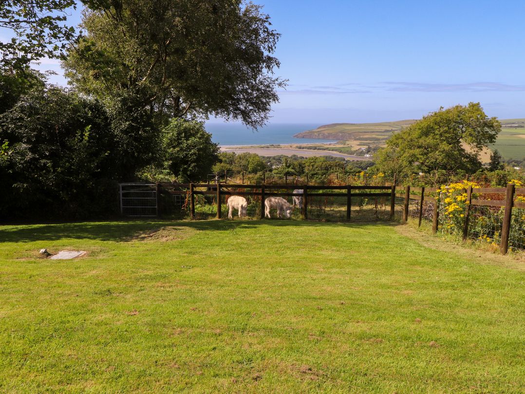 Penfeidr Newydd