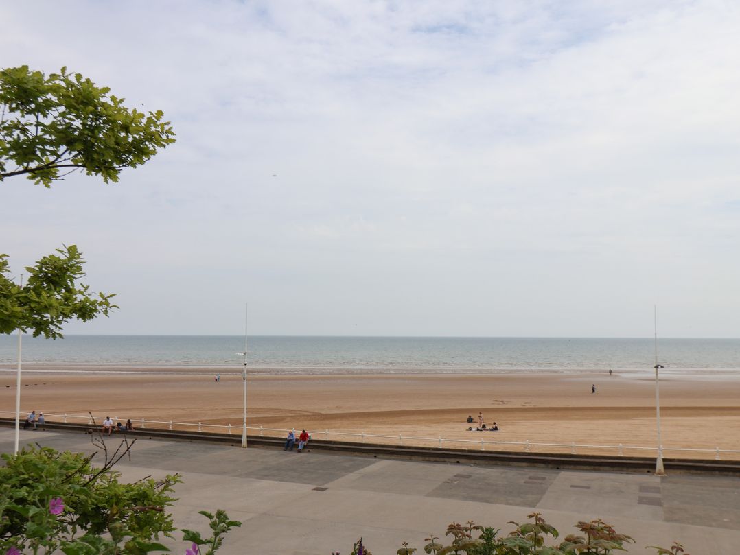 Ocean View 4 @52