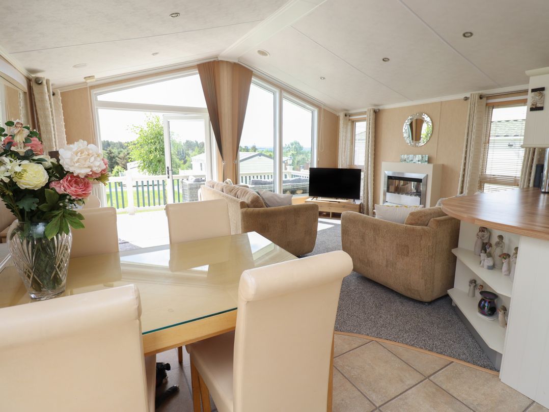 15 Silverbirch