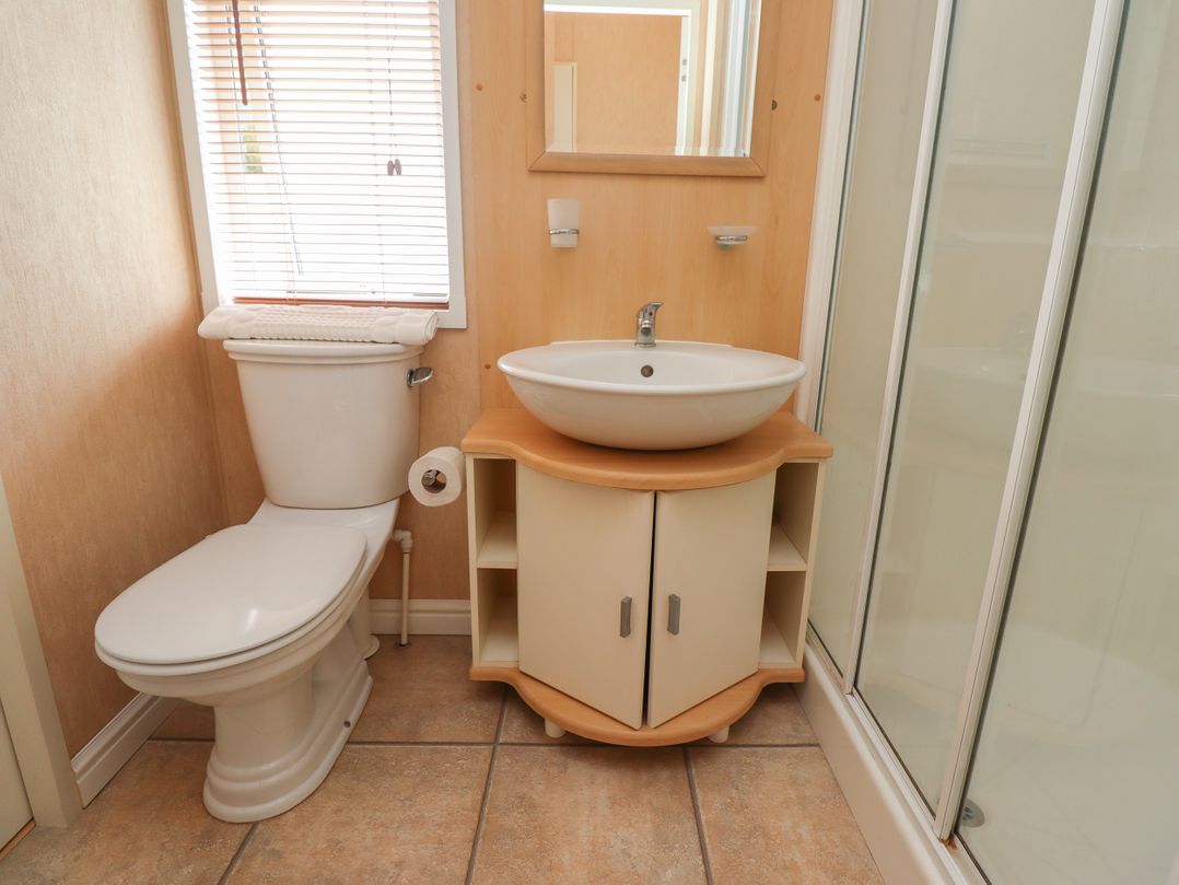 15 Silverbirch