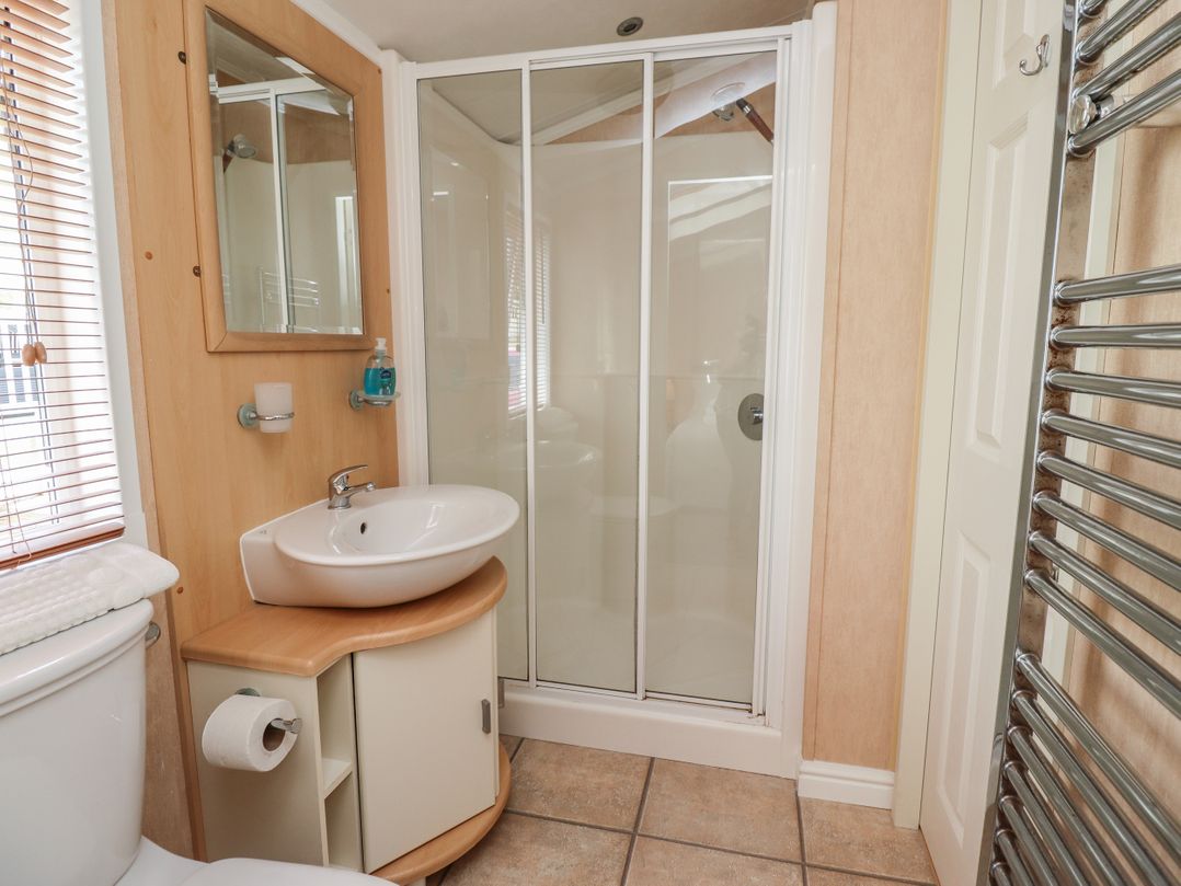 15 Silverbirch