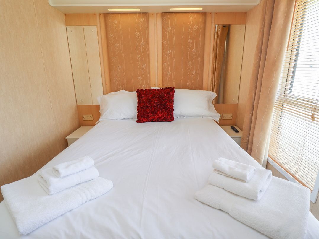 15 Silverbirch