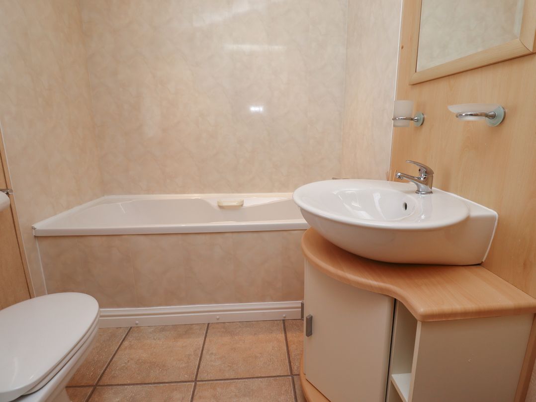 15 Silverbirch