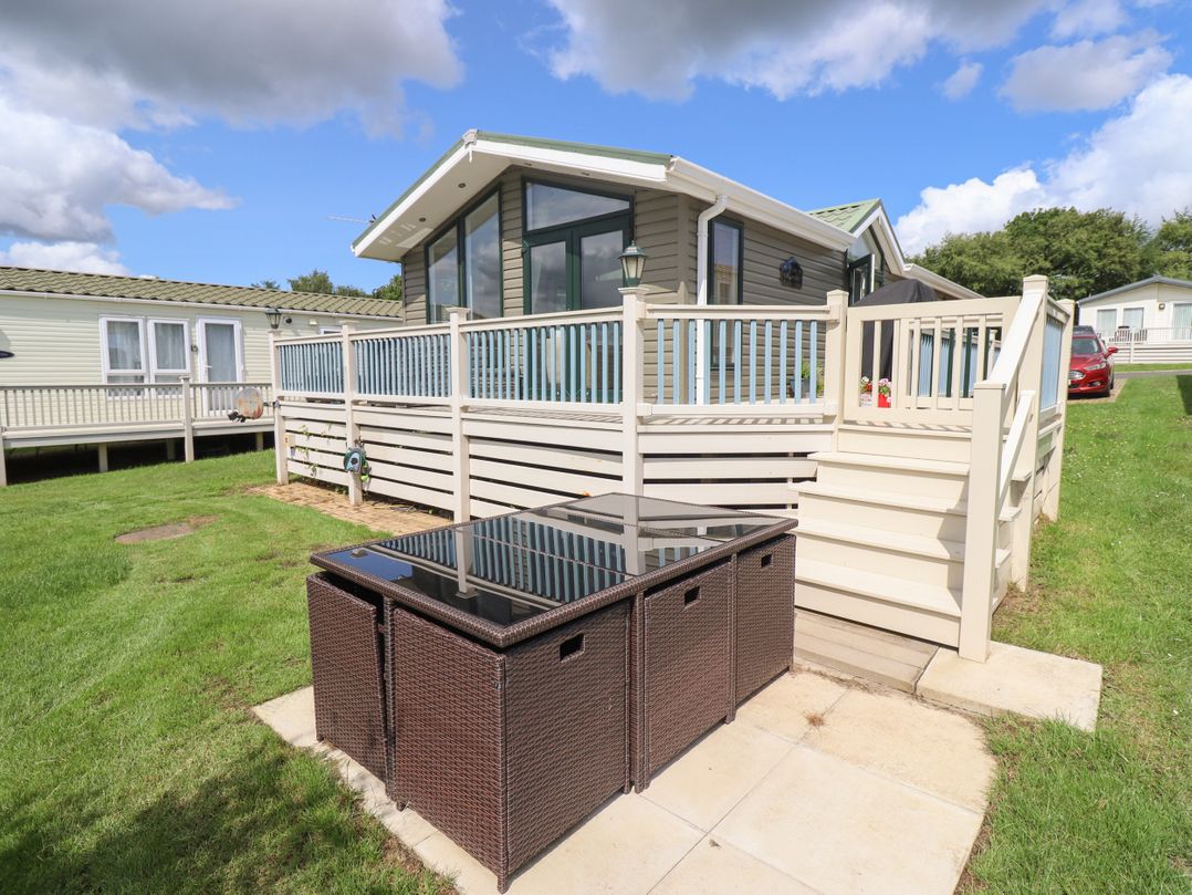 15 Silverbirch