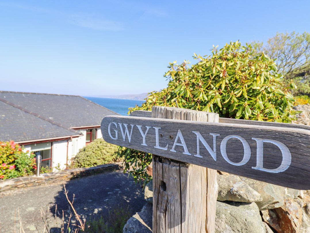 Gwylanod