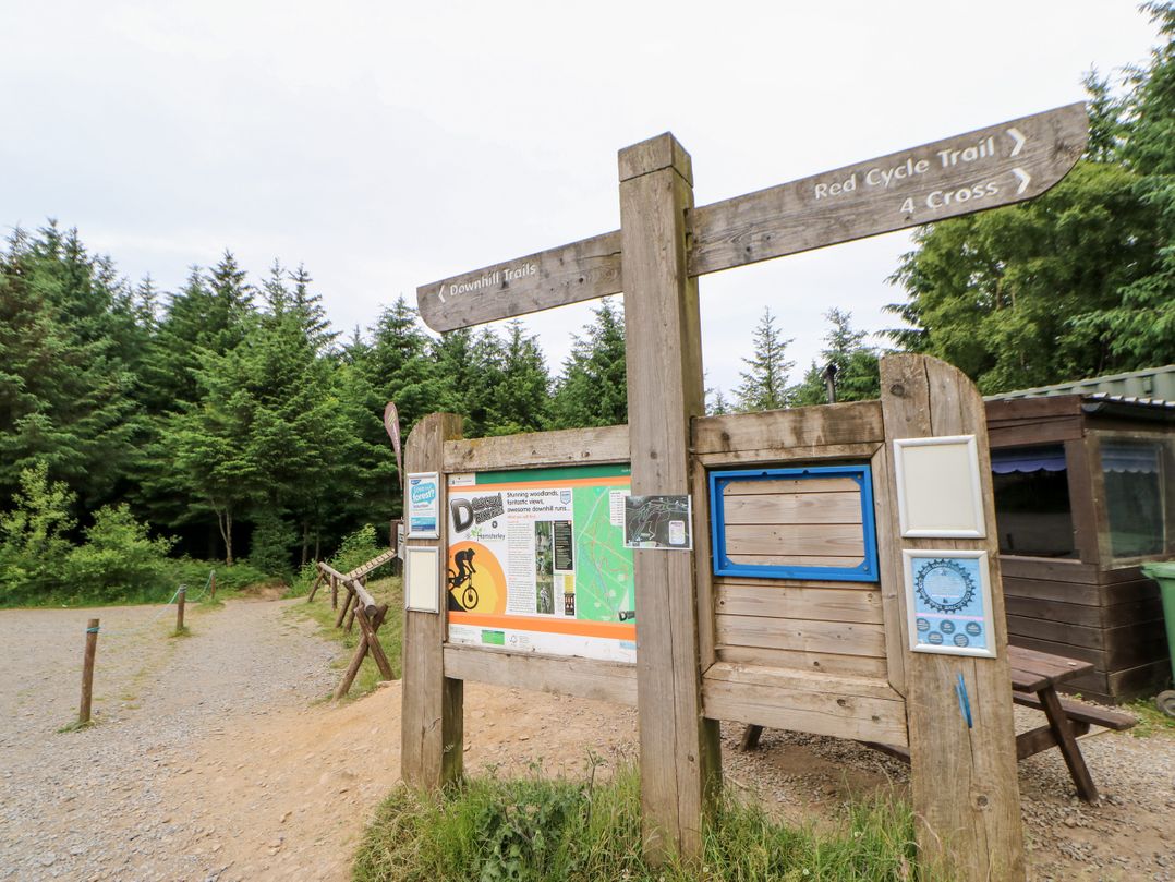 Forestside View
