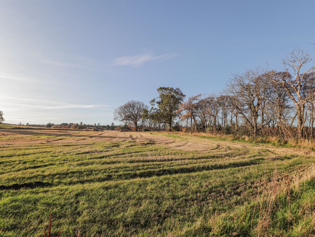 Avemar