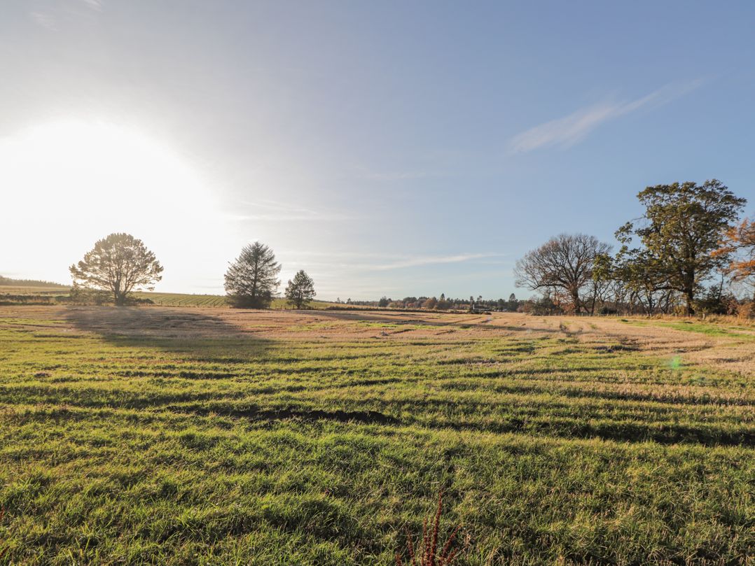 Avemar