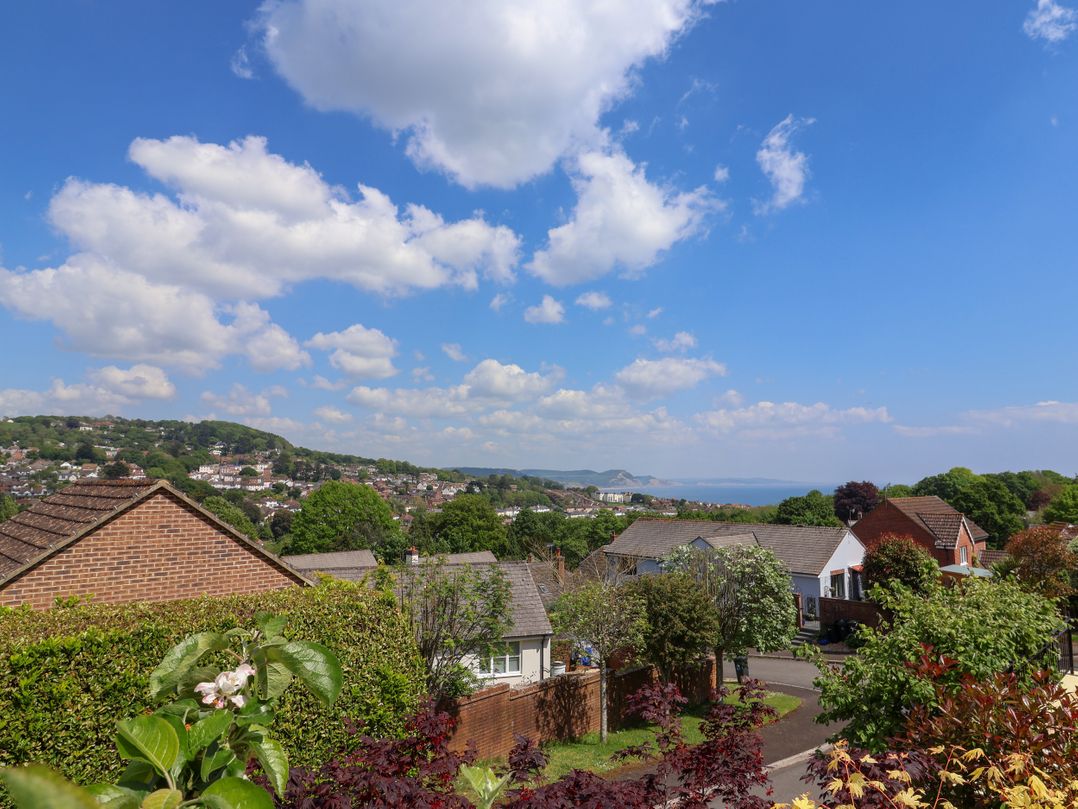 Lyme Bay View