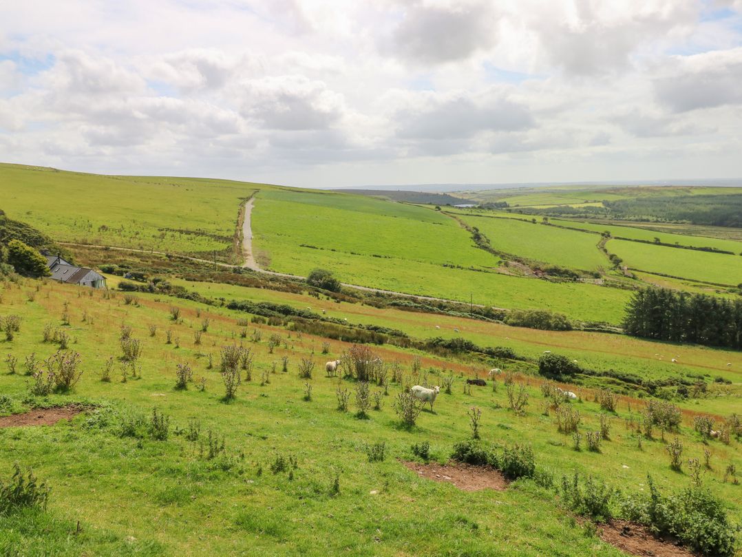 Bryn Nante